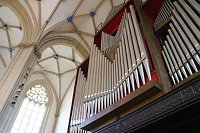 Bild: Mathildenjubil&auml;um im Nordh&auml;user Dom