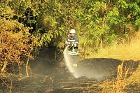 Böschungsbrand in Kleinfurra Bild: Böschungsbrand in Kleinfurra