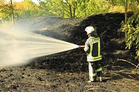 Böschungsbrand in Kleinfurra Bild: Böschungsbrand in Kleinfurra