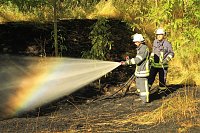 Böschungsbrand in Kleinfurra Bild: Böschungsbrand in Kleinfurra