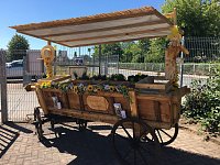Frische Bioware aus dem Gartenbau Salza Bild: Frische Bioware aus dem Gartenbau Salza