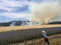 Bild: Feldbrand zwischen Gro&szlig;- und Kleinfurra