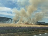 Bild: Feldbrand zwischen Gro&szlig;- und Kleinfurra