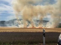 Bild: Feldbrand zwischen Gro&szlig;- und Kleinfurra