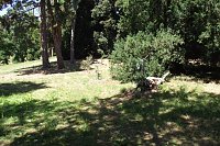 Bild: Noch gr&uuml;nt es im Park Hohenrode