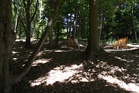 Bild: Noch gr&uuml;nt es im Park Hohenrode