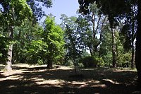 Bild: Noch gr&uuml;nt es im Park Hohenrode
