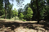 Bild: Noch gr&uuml;nt es im Park Hohenrode