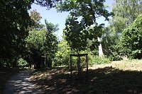 Bild: Noch gr&uuml;nt es im Park Hohenrode