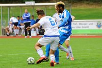 Bild: 11:0-Sieg gegen VfB Sangerhausen