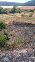 Bild: Brand in ehemaliger Kiesgrube