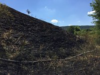 Bild: Brand in ehemaliger Kiesgrube