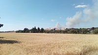Feuerwehren im Einsatz Bild: Feuerwehren im Einsatz