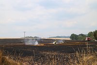 Bild: Abgebranntes Feld bei Niedersachswerfen
