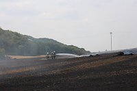 Bild: Abgebranntes Feld bei Niedersachswerfen