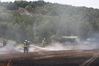 Bild: Abgebranntes Feld bei Niedersachswerfen