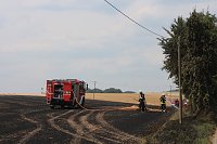 Bild: Abgebranntes Feld bei Niedersachswerfen