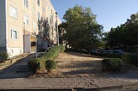 Auch Schattenspender vor den Plattenbauten in der Hardenbergstraße. Bild: Auch Schattenspender vor den Plattenbauten in der Hardenbergstraße.