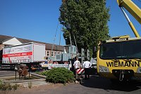 Nach 82 Jahren wieder zu Hause - die "kleine Rüma" Bild: Nach 82 Jahren wieder zu Hause - die "kleine Rüma"