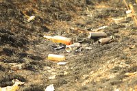 Flächenbrand bei Großwechsungen Bild: Flächenbrand bei Großwechsungen
