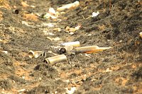 Flächenbrand bei Großwechsungen Bild: Flächenbrand bei Großwechsungen