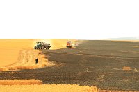 Flächenbrand bei Großwechsungen Bild: Flächenbrand bei Großwechsungen