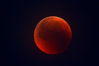 Mondfinsternis Bild: Mondfinsternis