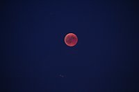 Blutmond über dem Südharz Bild: Blutmond über dem Südharz