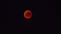 Blutmond über dem Südharz Bild: Blutmond über dem Südharz