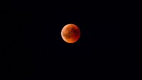 Blutmond über dem Südharz Bild: Blutmond über dem Südharz