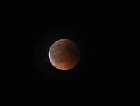 Blutmond über dem Südharz Bild: Blutmond über dem Südharz