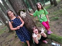 Neues aus Hawaii im Thüringer Wald Bild: Neues aus Hawaii im Thüringer Wald