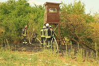 Bild: Fl&auml;chenbrand zwischen Gro&szlig;- und Kleinfurra