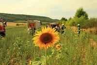 Bild: Fl&auml;chenbrand zwischen Gro&szlig;- und Kleinfurra