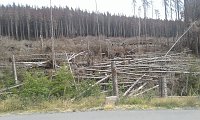 Bild: 12. Harz-Hunderter Extrem &uuml;ber 147 km