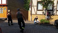 Bild: Tolle Aktion in Neustadt