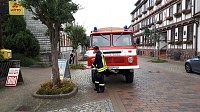 Kameradinnen und Kameraden der Freiwilligen Feuerwehr Neustadt/Osterode bewässerten erneut Bäume und Sträucher Bild: Kameradinnen und Kameraden der Freiwilligen Feuerwehr Neustadt/Osterode bewässerten erneut Bäume und Sträucher