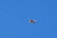 Bild: 21. Modellflugtag