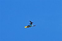 Bild: 21. Modellflugtag