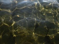 Bild: Lichtspiele am Seelhausener See