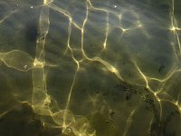 Bild: Lichtspiele am Seelhausener See
