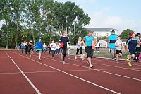 Grundschultag auf dem Hohekreuz-Sportplatz Bild: Grundschultag auf dem Hohekreuz-Sportplatz