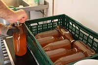 Besuch in der Hofmosterei Harzungen Bild: Besuch in der Hofmosterei Harzungen