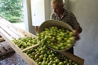 Besuch in der Hofmosterei Harzungen Bild: Besuch in der Hofmosterei Harzungen