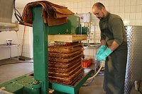 Besuch in der Hofmosterei Harzungen Bild: Besuch in der Hofmosterei Harzungen