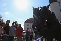 Faust - die Rockoper auf dem Heringer Schlossfest Bild: Faust - die Rockoper auf dem Heringer Schlossfest