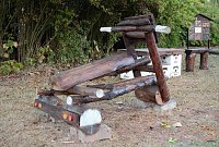 Bild: Emmenrausch am Stausee Kelbra