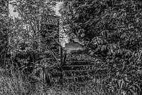 Bild: Lost Places im Fokus