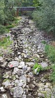 Bild: Das flie&szlig;t kaum noch Wasser - die Zorge entlang der Uferstra&szlig;e in Nordhausen