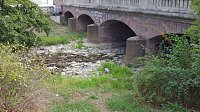 Bild: Das flie&szlig;t kaum noch Wasser - die Zorge entlang der Uferstra&szlig;e in Nordhausen